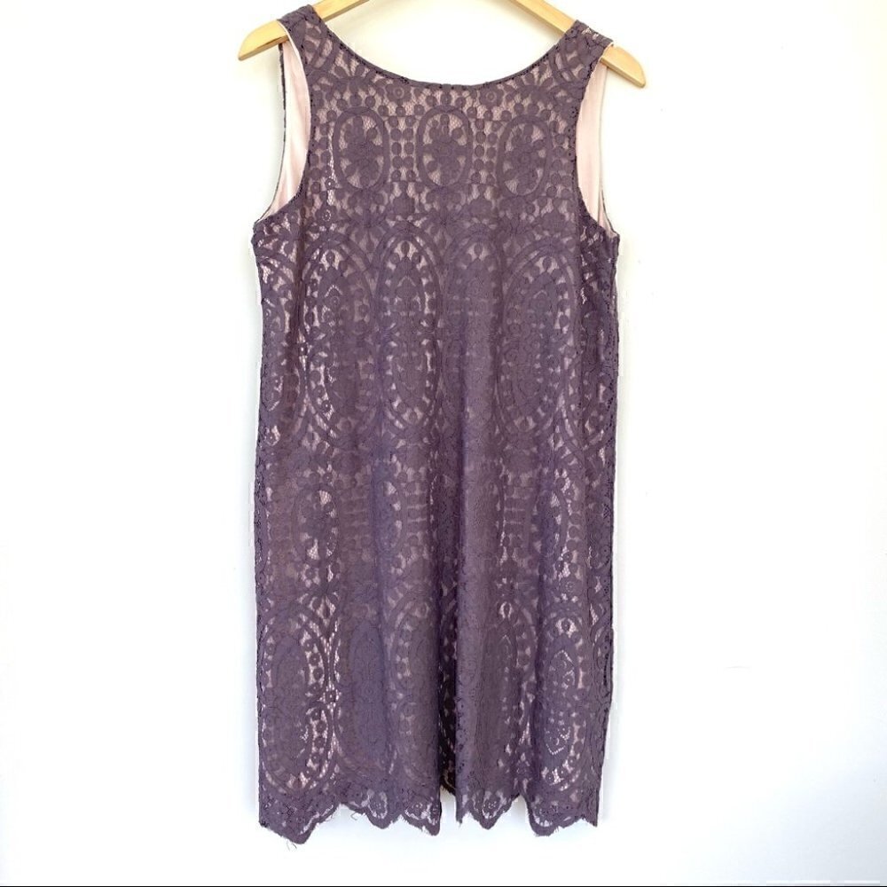 Pinkblush lace midi  dress with crew neck and v-back